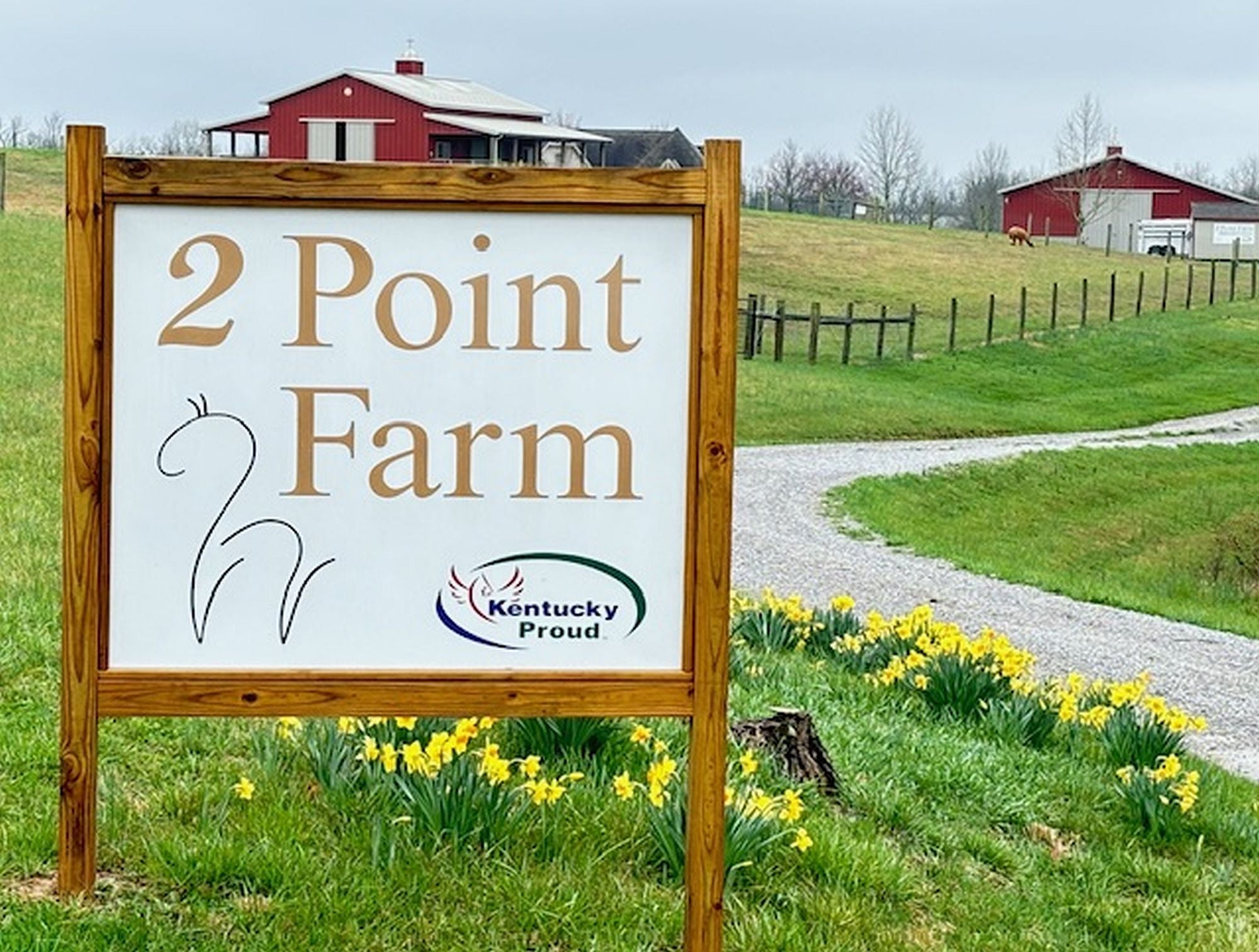 Visit the 2 Point Farm Store and Join Us for the Annual Yarn Crawl-2PointFarmAlpacas