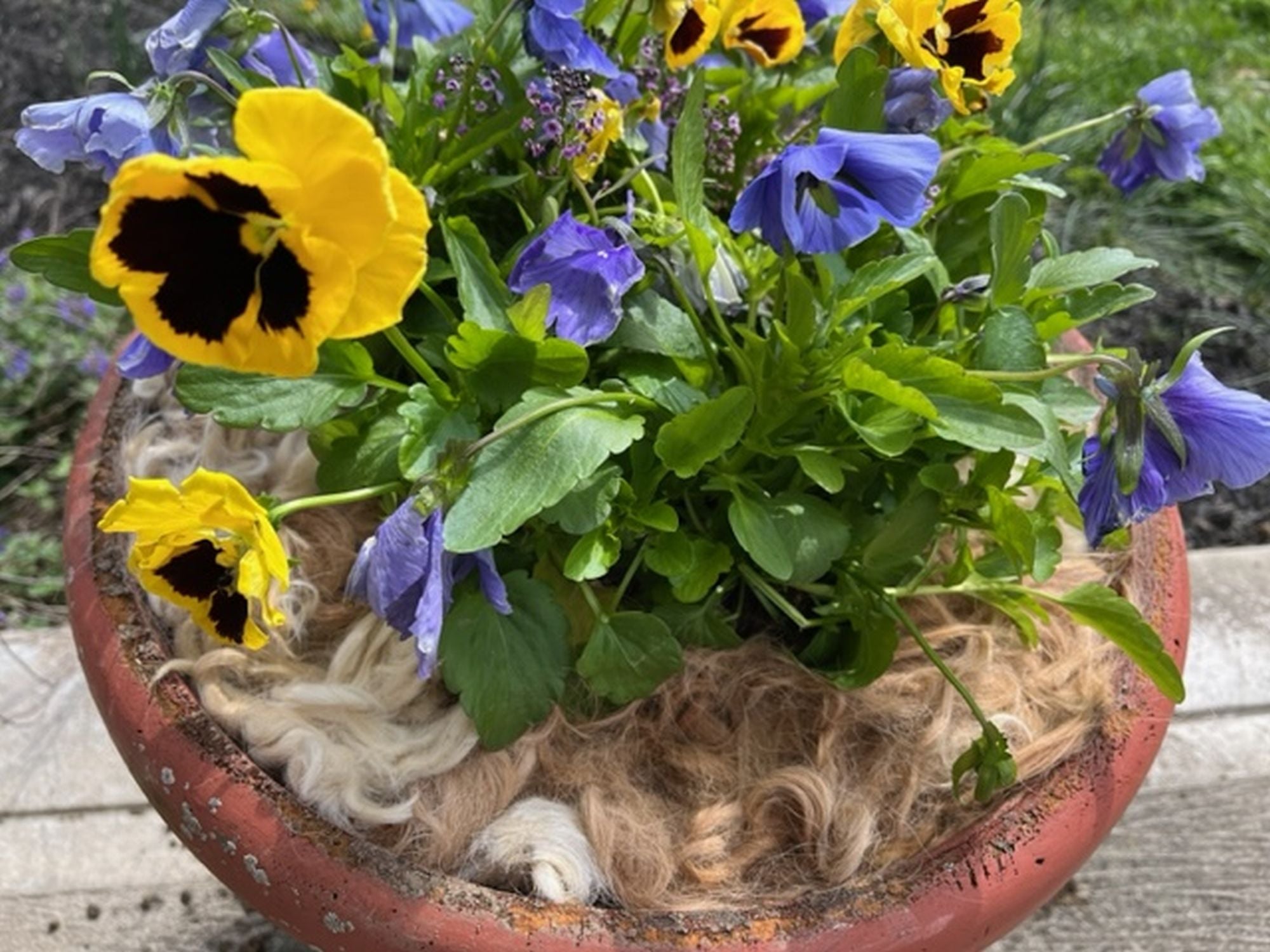 Home and Garden